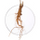 KSM-66® Ashwagandha
