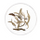 GABA