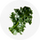 Artichoke Leaf & DIM