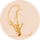 Chicory Root-Derived Fiber
