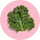 Diindolylmethane (DIM)